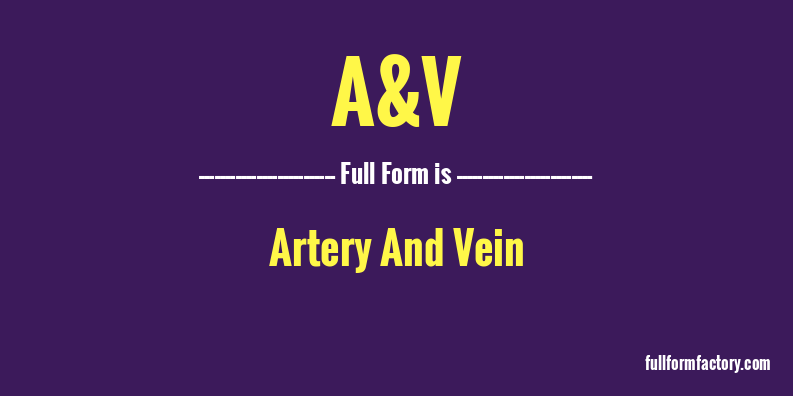 a&v-full-form
