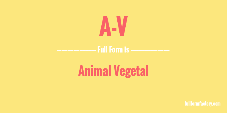 a-v-full-form