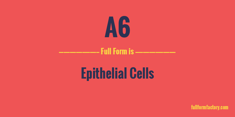 a6-full-form