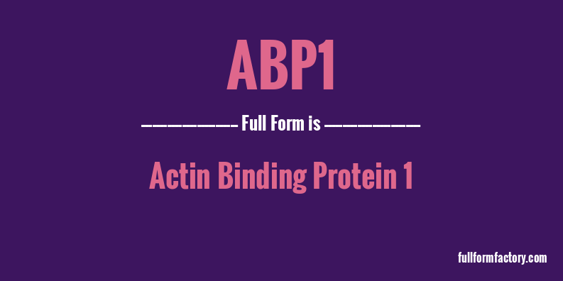 abp1-full-form
