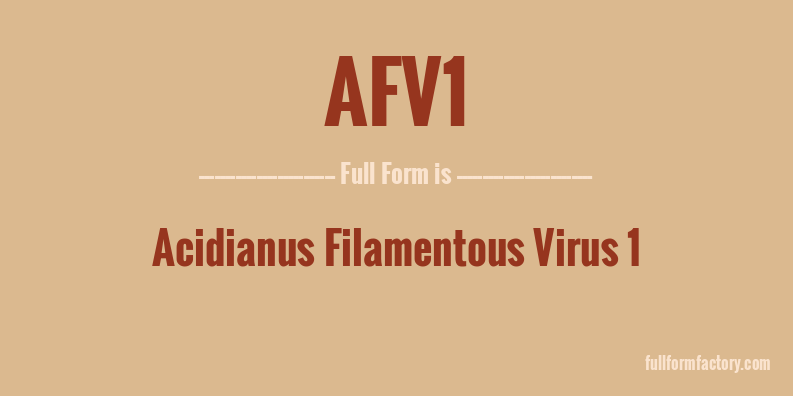 afv1-full-form