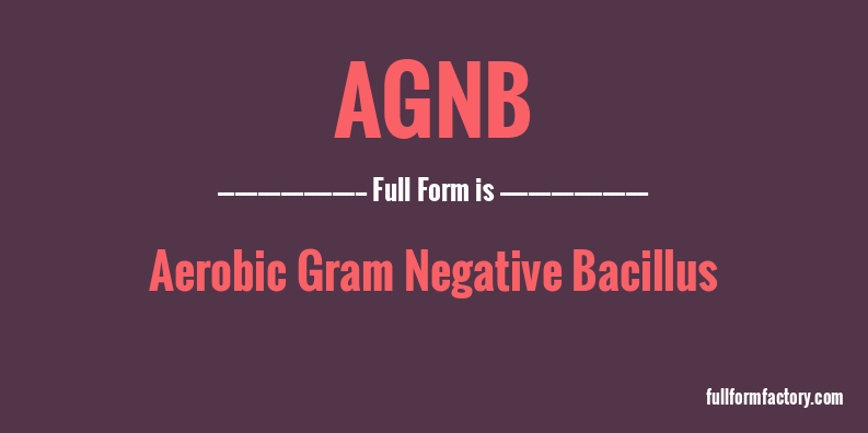 agnb-full-form