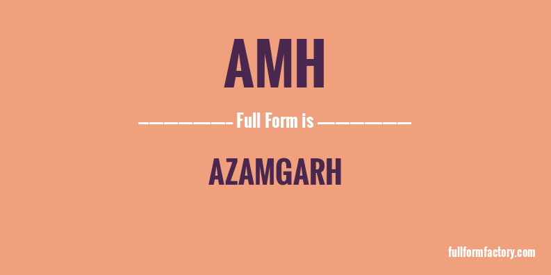 amh-full-form