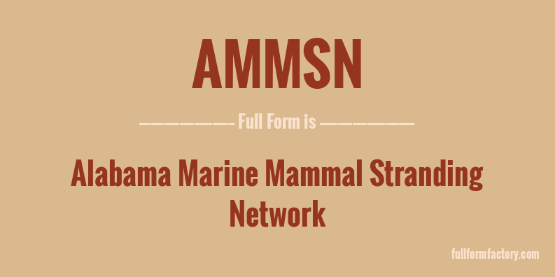 ammsn-full-form