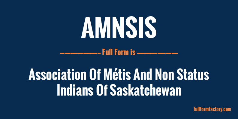 amnsis-full-form
