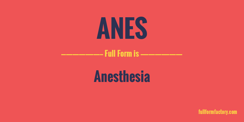anes-full-form