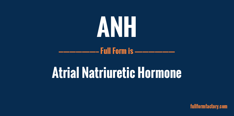 anh-full-form
