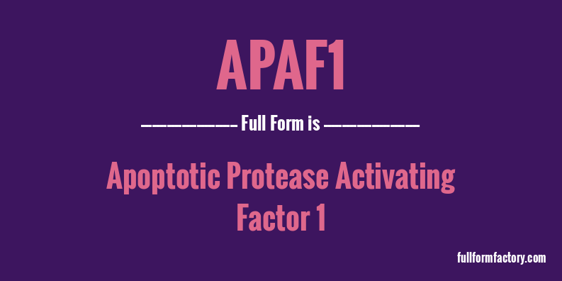 apaf1-full-form