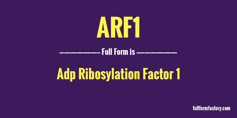 arf1-full-form