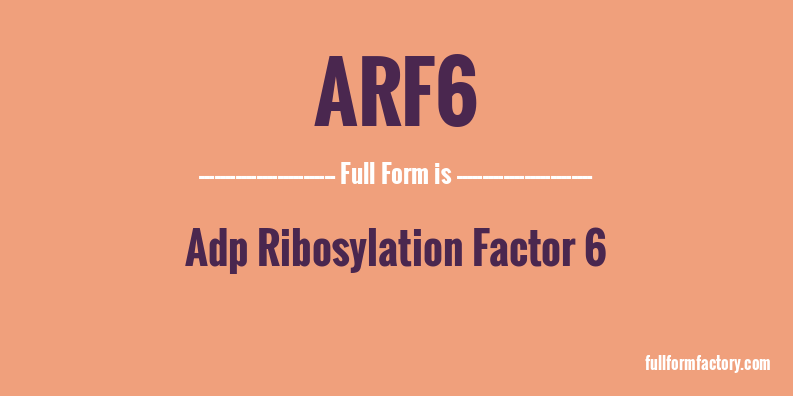 arf6-full-form