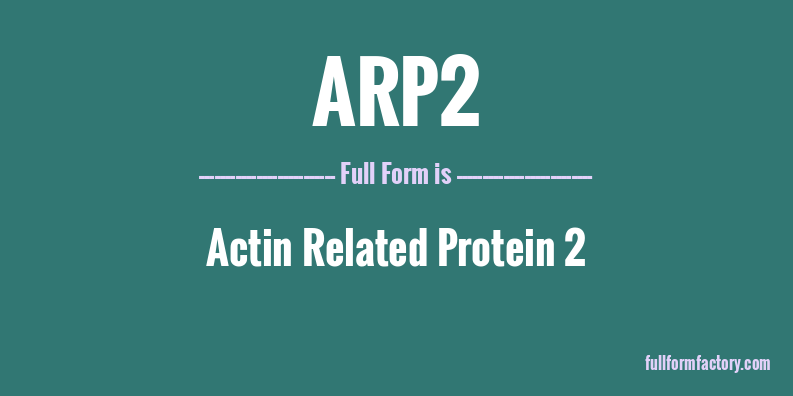 arp2-full-form
