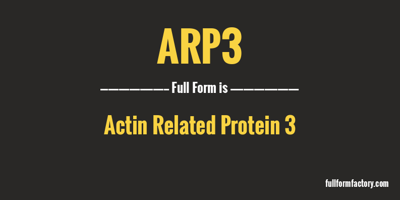 arp3-full-form