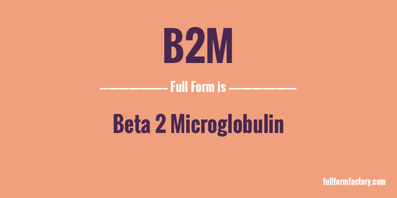 b2m-full-form