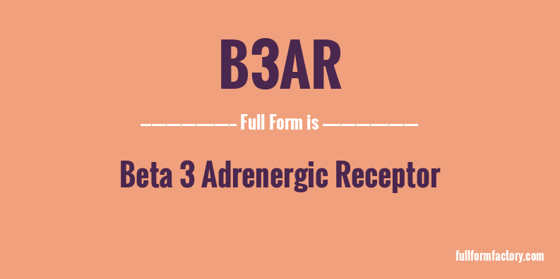 b3ar-full-form