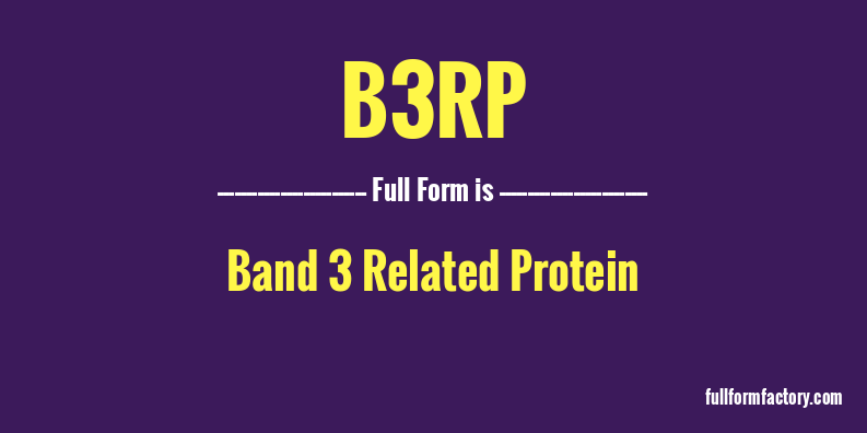 b3rp-full-form