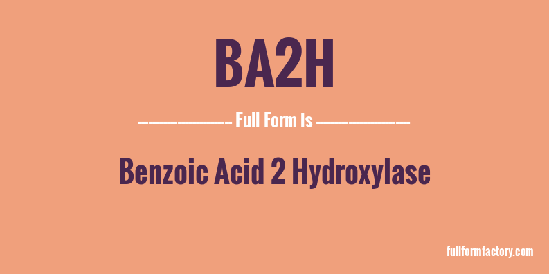 ba2h-full-form