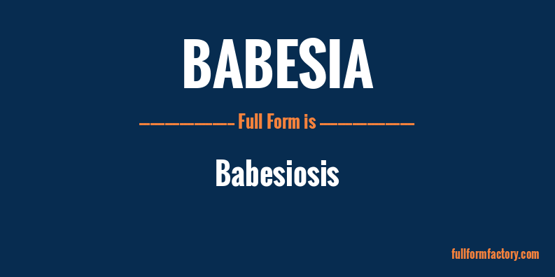 babesia-full-form