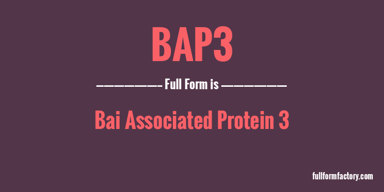 bap3-full-form