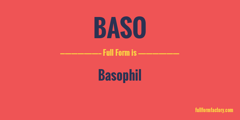baso-full-form