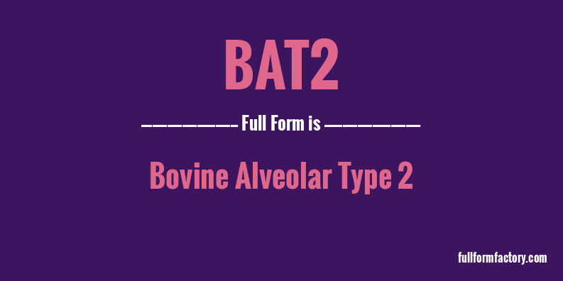 bat2-full-form