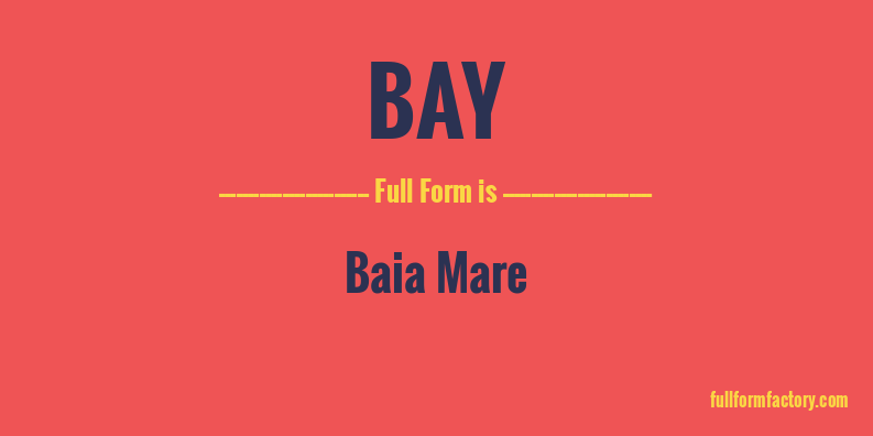 bay-full-form