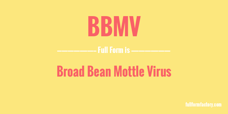 bbmv-full-form