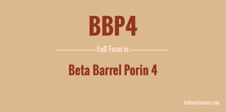 bbp4-full-form
