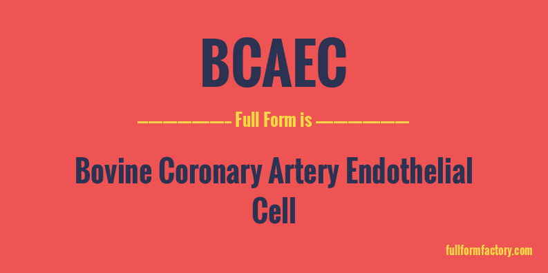 bcaec-full-form