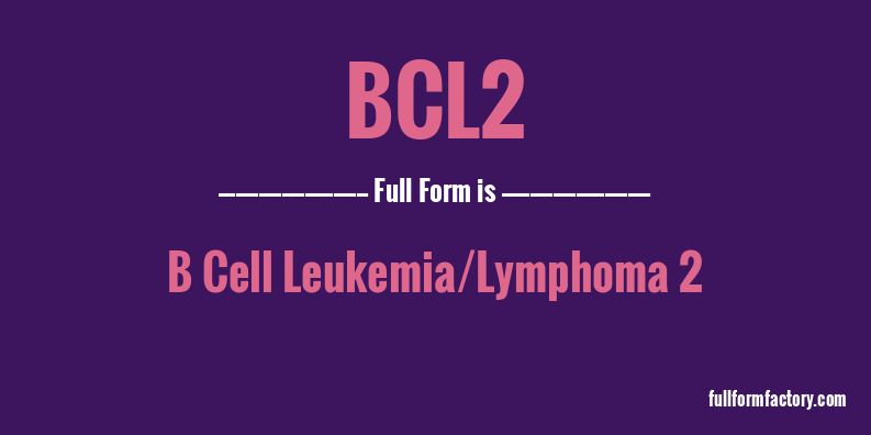 bcl2-full-form