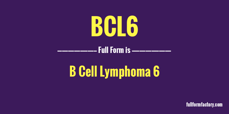 bcl6-full-form