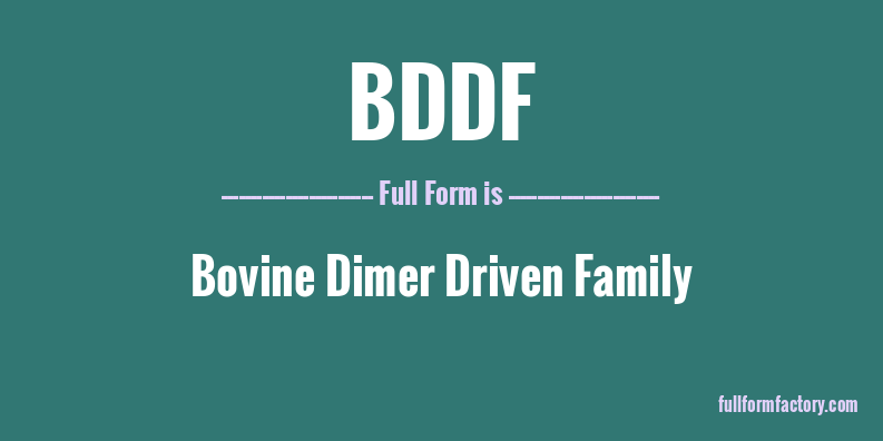 bddf-full-form