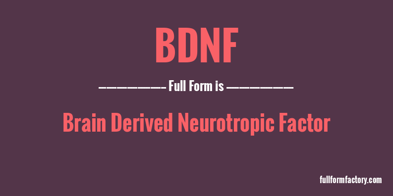 bdnf-full-form