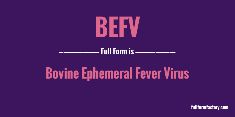 befv-full-form