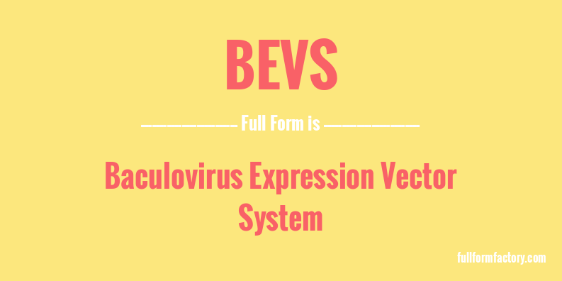 bevs-full-form
