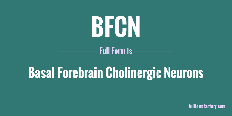 bfcn-full-form