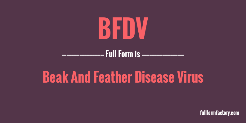bfdv-full-form