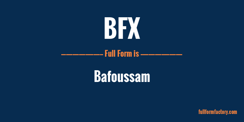 bfx-full-form