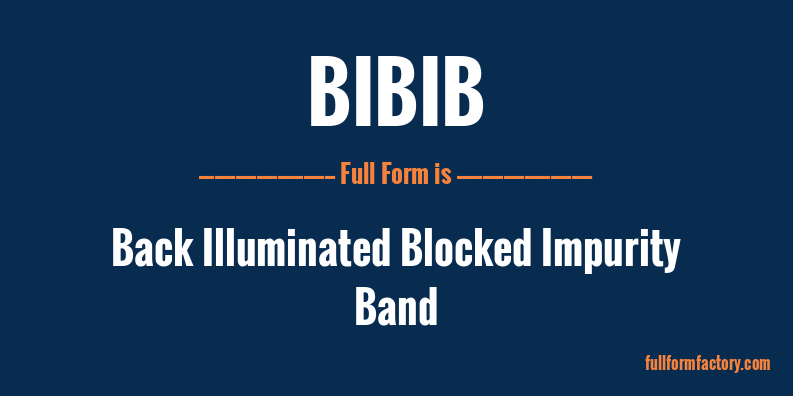 bibib-full-form