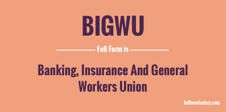 bigwu-full-form