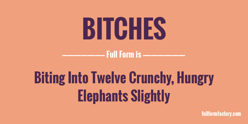 bitches-full-form