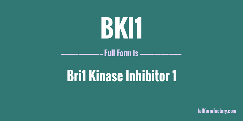 bki1-full-form
