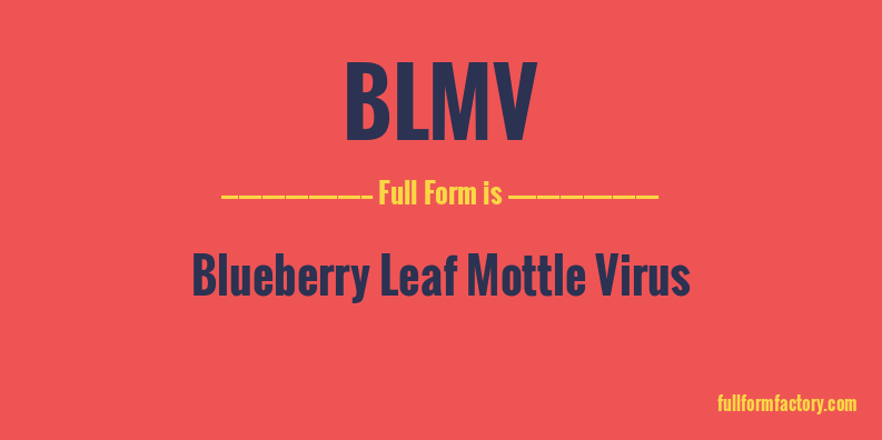 blmv-full-form
