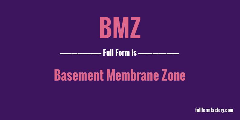 bmz-full-form