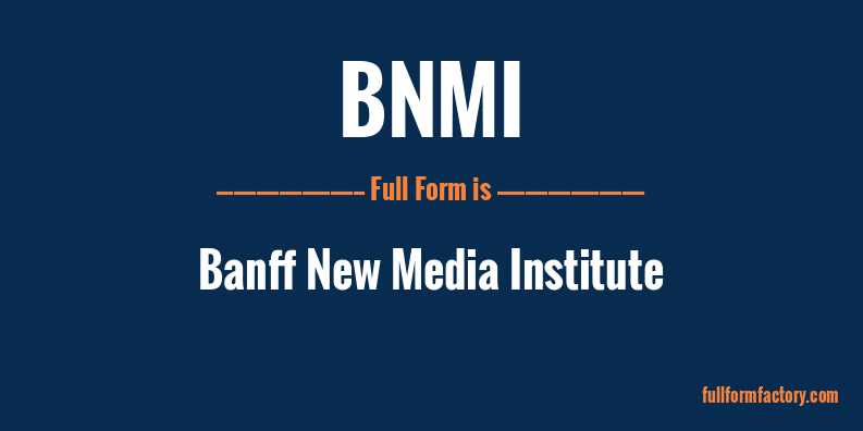 bnmi-full-form