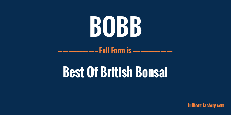 bobb-full-form