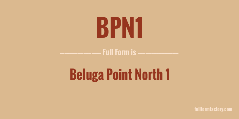 bpn1-full-form