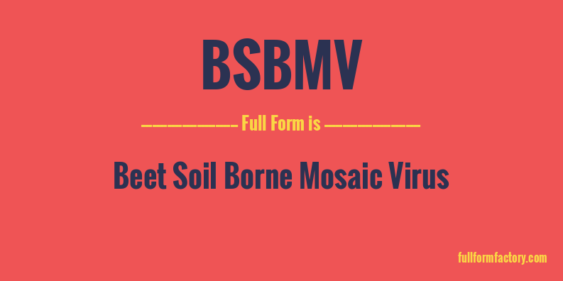 bsbmv-full-form