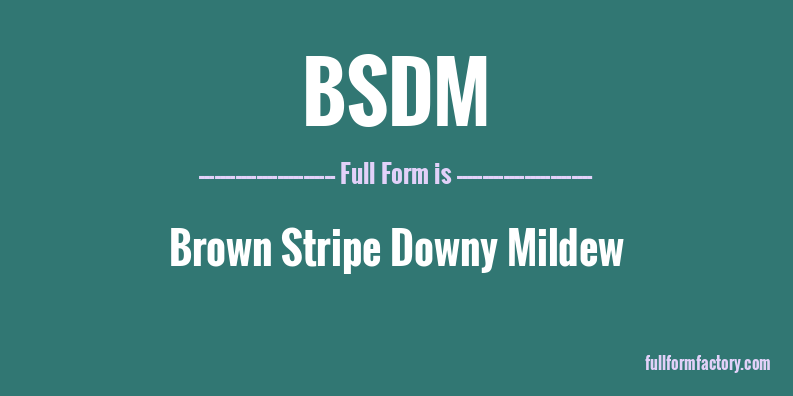 bsdm-full-form