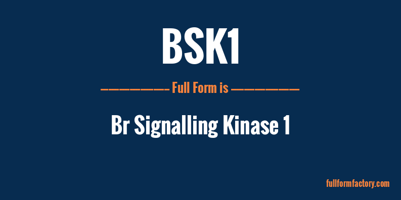 bsk1-full-form