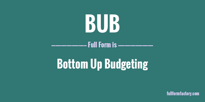 bub-full-form